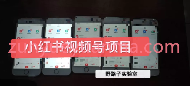 小红书视频号项目可直接上手操作视频教程 可长久操作