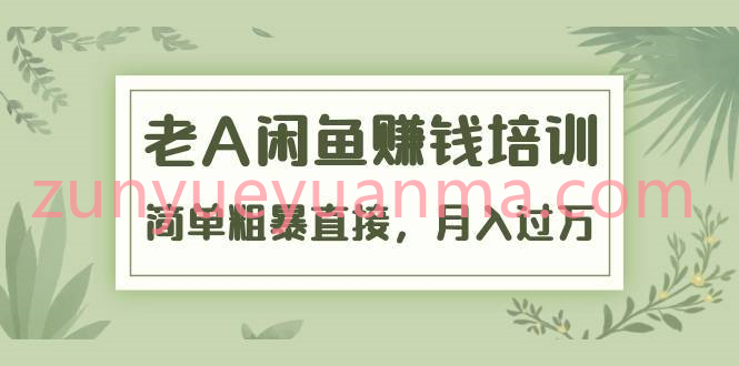 老A闲鱼赚钱培训视频教程 简单粗暴直接真正的闲鱼战术实操51节课全集