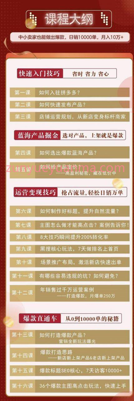 拼多多爆款实战攻略视频教程 中小卖家也能做出爆款