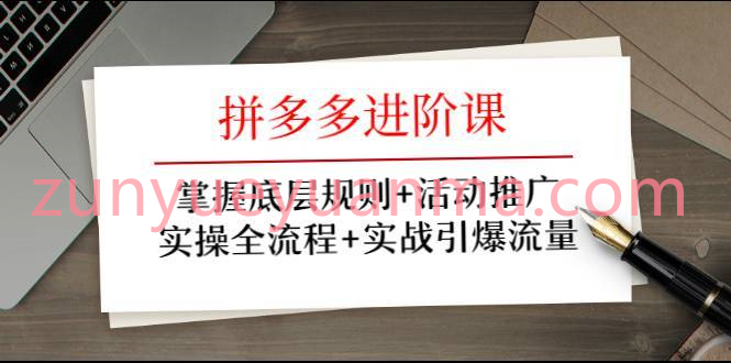 拼多多进阶课视频详解课程 掌握底层规则+活动推广+实操全流程+引爆流量